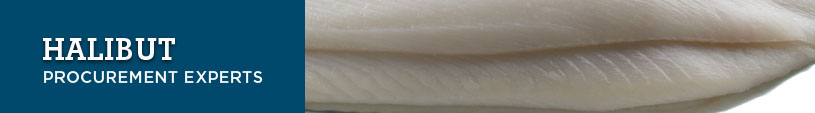 Halibut Procurement Experts