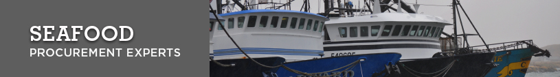 Seafood Procurement Experts