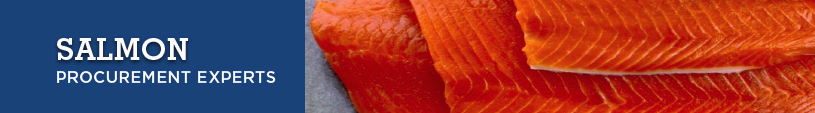 Salmon Procurement Experts